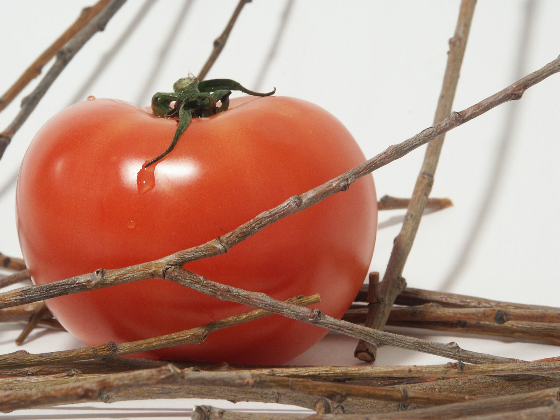 Турецкие томаты снова застряли на границе